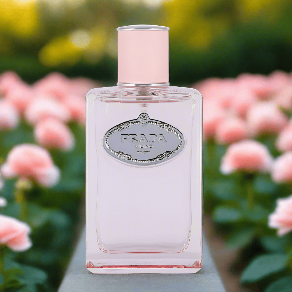 Prada Infusion de Rose Women's Perfume/Cologne For Her Eau De Parfum 3.4 oz / 6.8 oz Edp