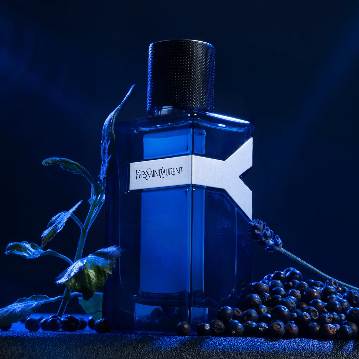 Luxury Icons Collection