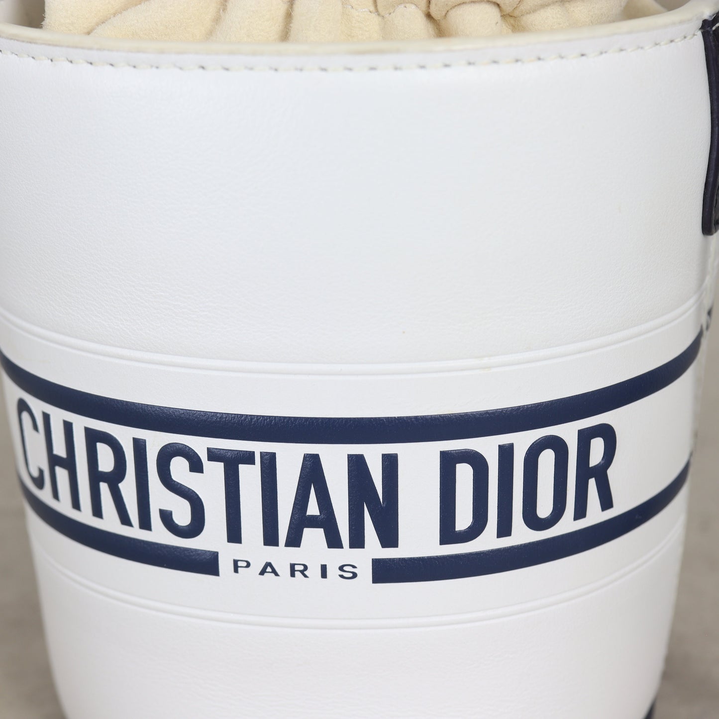 Dior Vibe Bucket Bag Micro