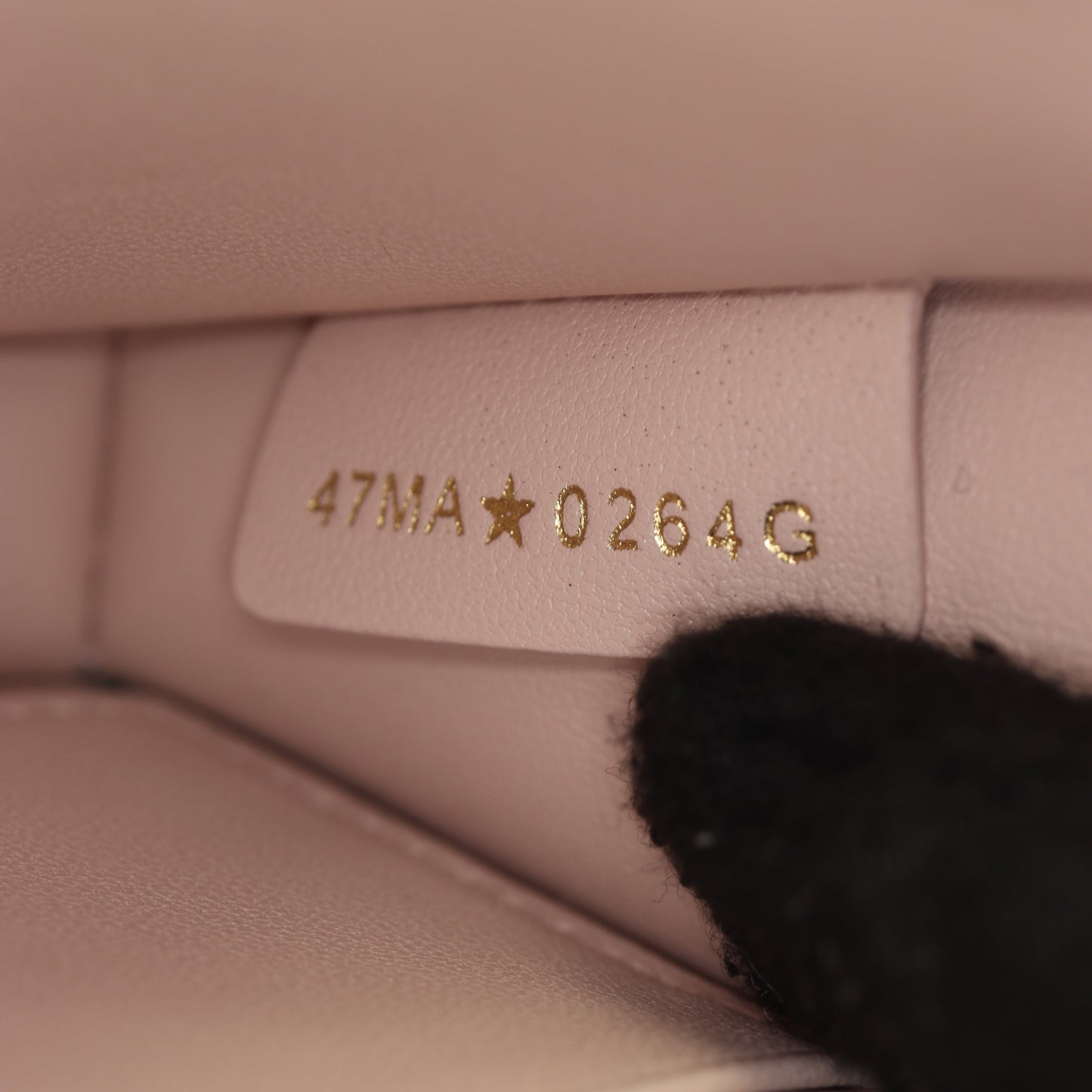 Dior Caro Chain Pouch