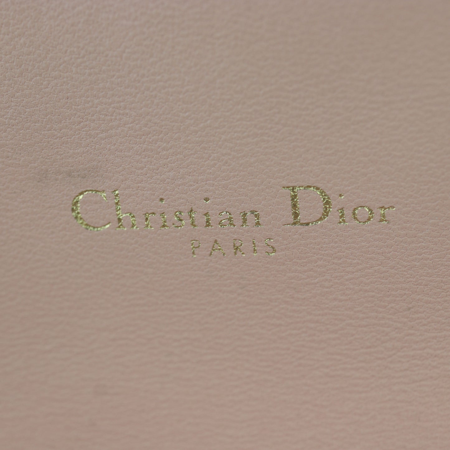 Dior Saddle Pouch Wallet on Chain