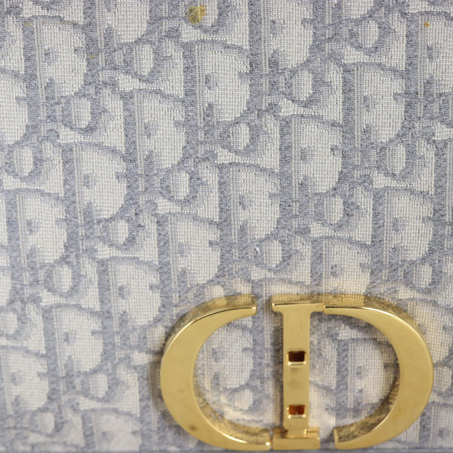 Dior 30 Montaigne Bag Oblique