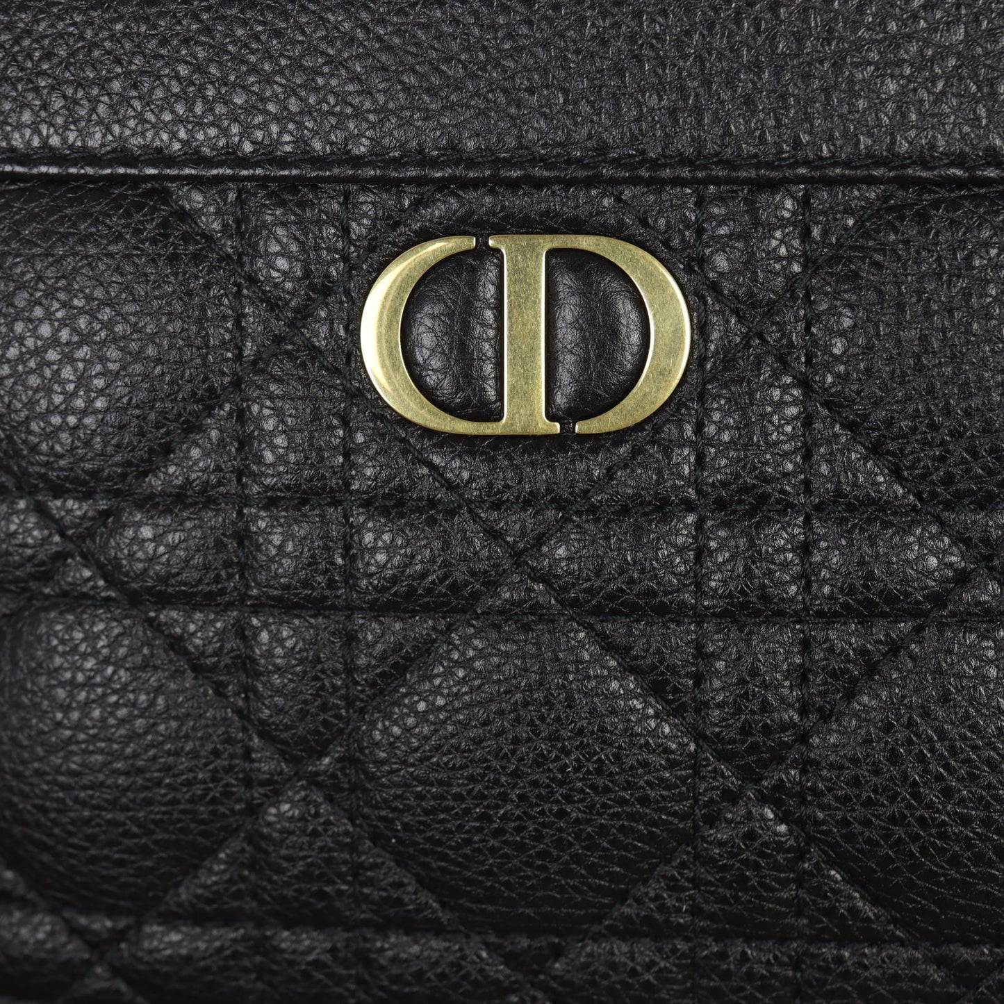 Dior Caro Zip Pouch on Chain
