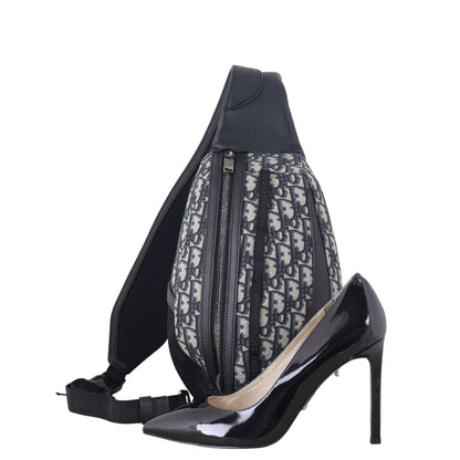 Dior Scarab Bag Oblique