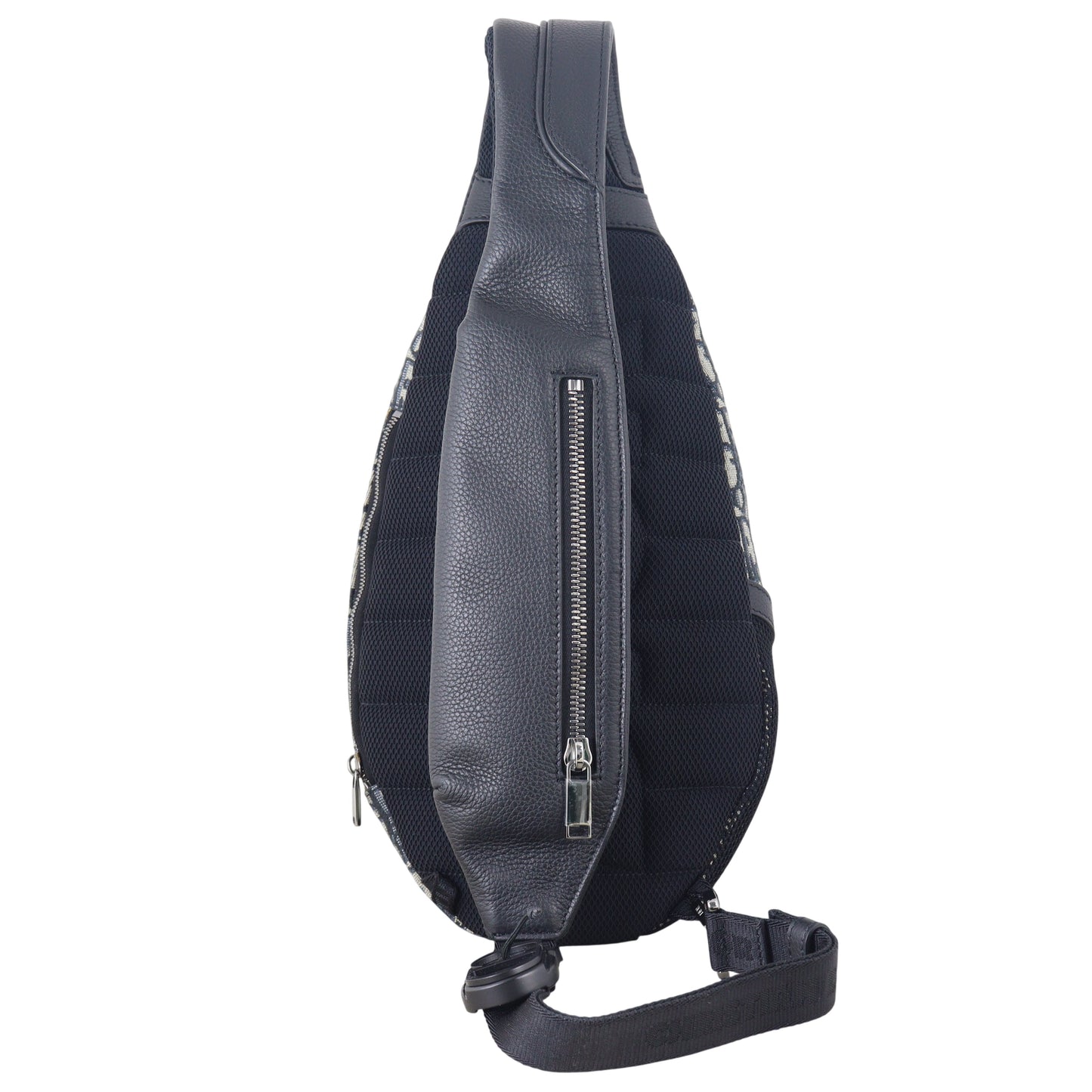Dior Scarab Bag Oblique