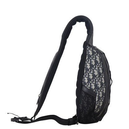 Dior Scarab Bag Oblique