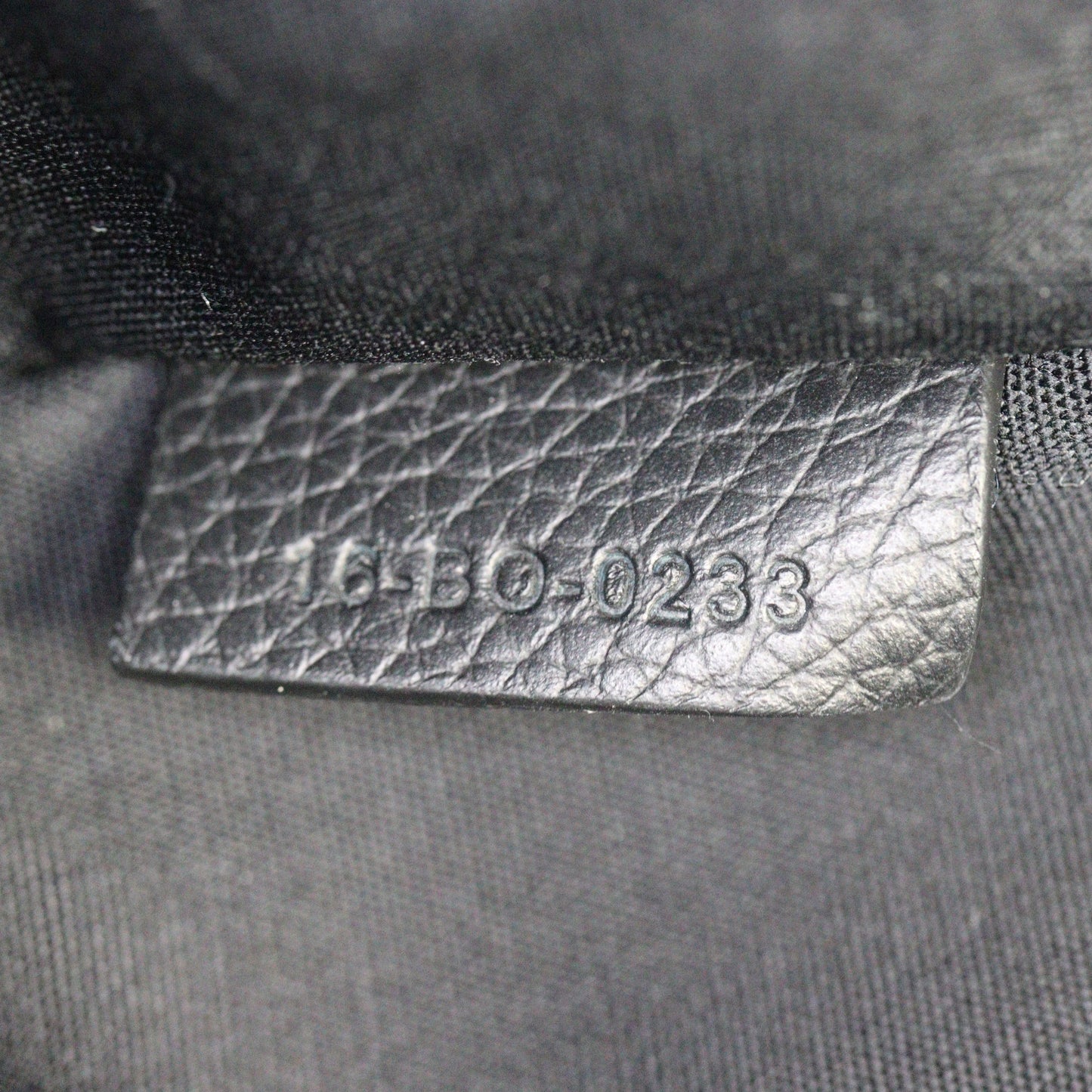 Dior Scarab Bag Oblique