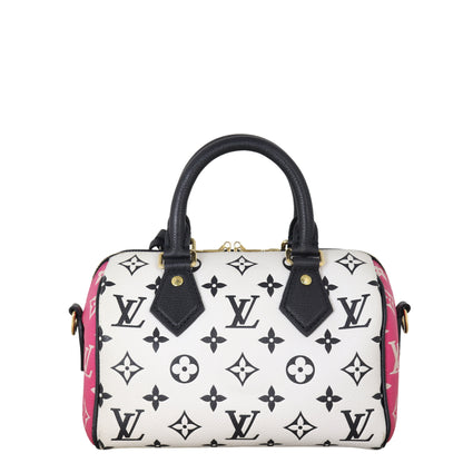 Louis Vuitton Speedy 20 Bandouliere Monogram Spring in the City