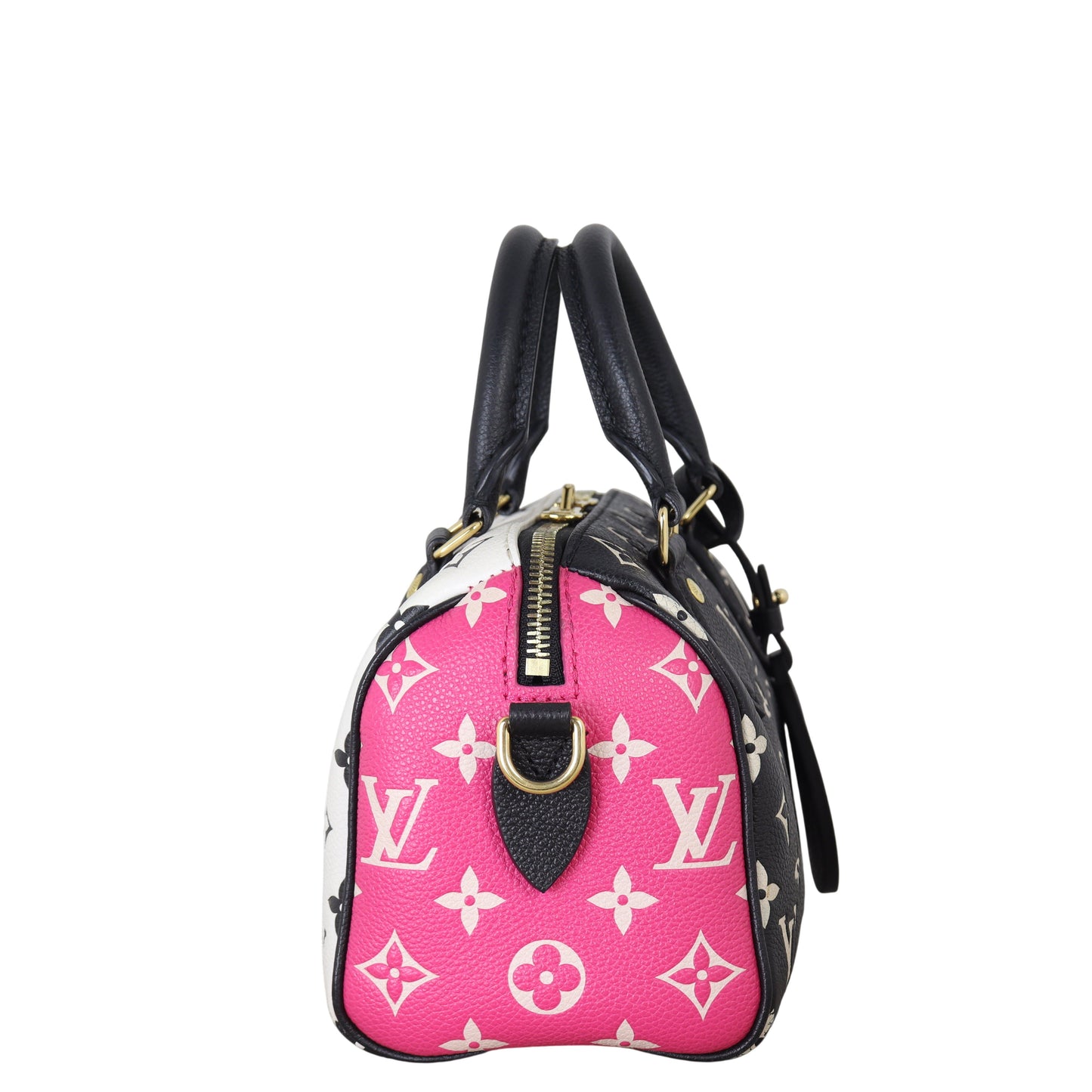 Louis Vuitton Speedy 20 Bandouliere Monogram Spring in the City