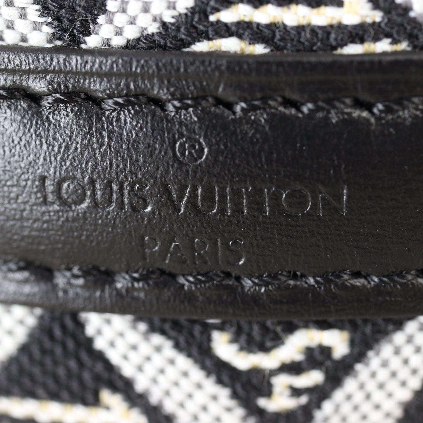 Louis Vuitton Since 1854 Nano Noe Monogram Jacquard