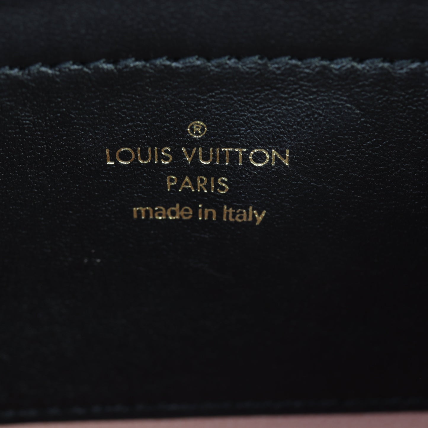 Louis Vuitton Pochette Coussin Monogram Embossed Lambskin