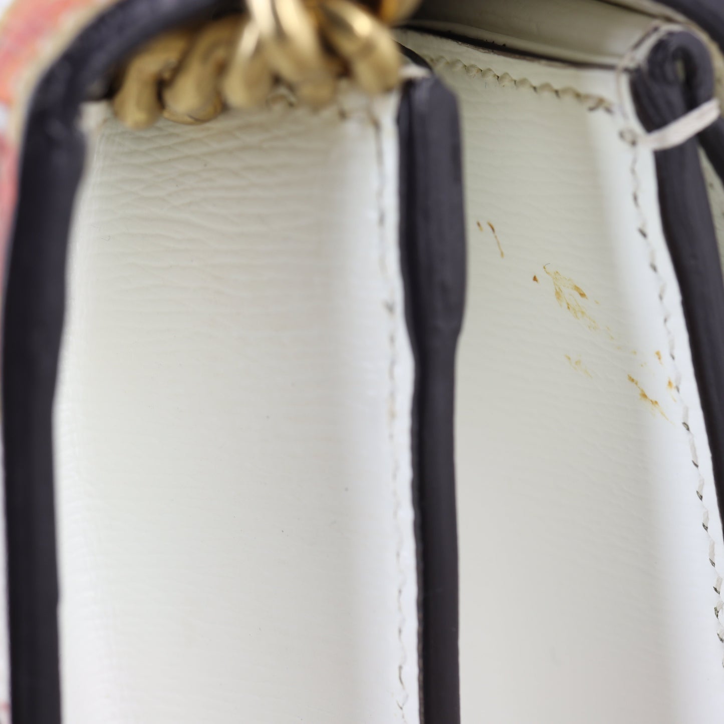 Gucci Dionysus Small Leather Shoulder Bag Garden