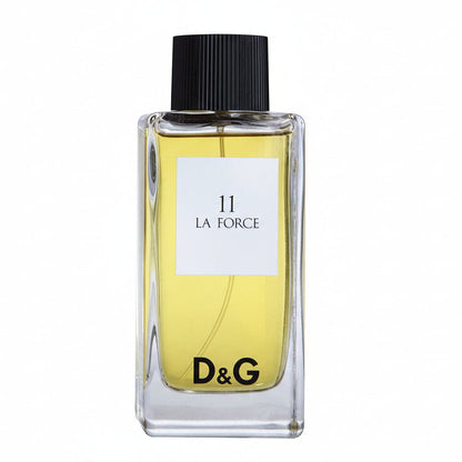 Dolce Gabbana 11 La Force