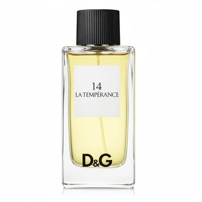 Dolce Gabbana 14 La Temperance