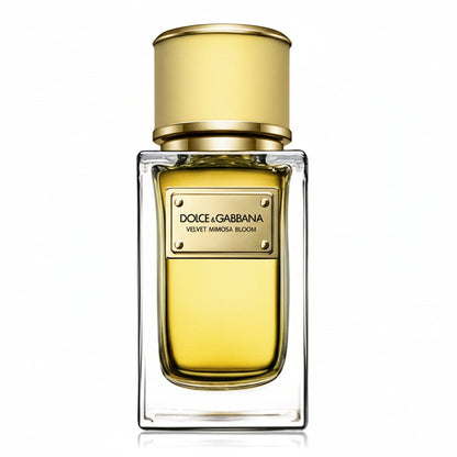 Dolce Gabbana Velvet Mimosa Bloom