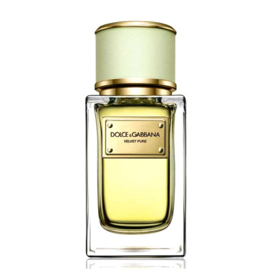Dolce Gabbana Velvet Pure