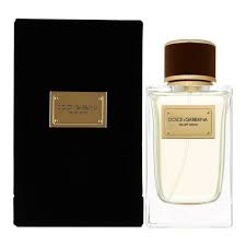 Dolce Gabbana Velvet Wood