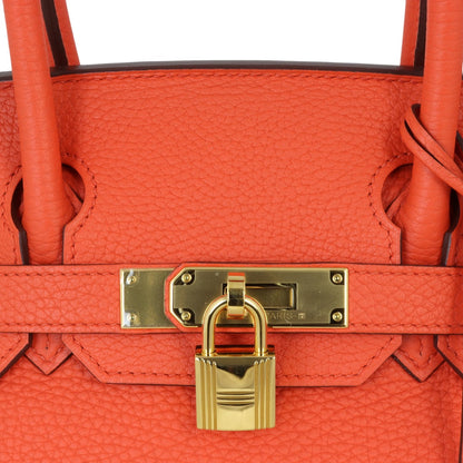 Hermes Birkin 30 Clemence