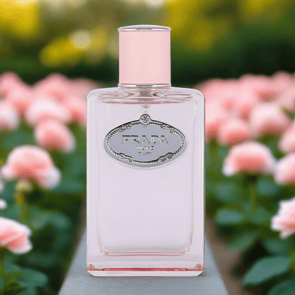 Prada Infusion de Rose Women's Perfume/Cologne For Her Eau De Parfum 3.4 oz / 6.8 oz Edp