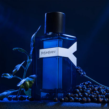 Luxury Icons Collection